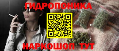 гидропоника Пушкино