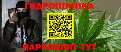 гидропоника Пушкино