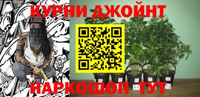 гидропоника Пушкино