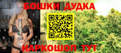 гидропоника Пушкино