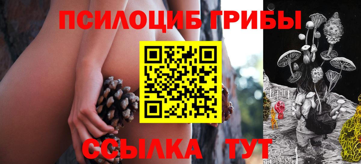 Симферополь  Галлюциногенные грибы Psilocybine cubensis  Вход с VPN 
