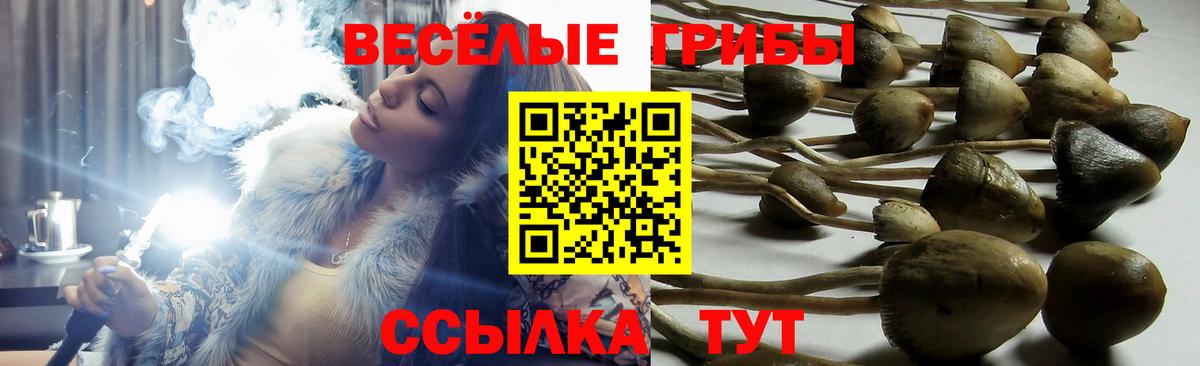 Симферополь  МАРИХУАНА  Лсд 25  Вход с VPN  Меф   ГАШ 